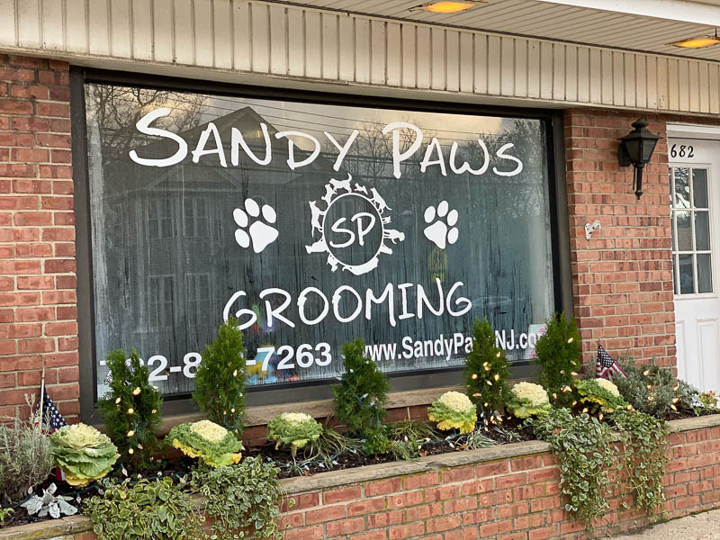 ABOUT US Sandy Paws